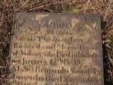 image of grave number 432995